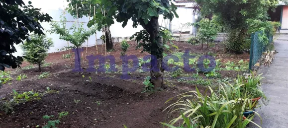 607m² Land in Sao Joao da Madeira, Portugal No. 92795 2