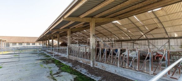 Studio à Ghedi, Italy No. 155140 12