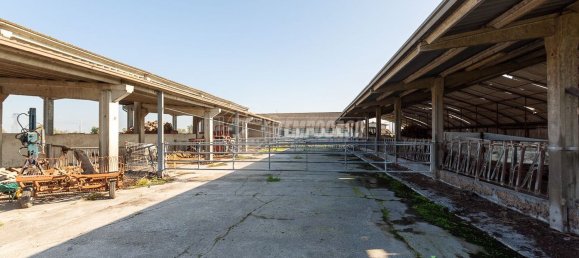 Studio à Ghedi, Italy No. 155140 6