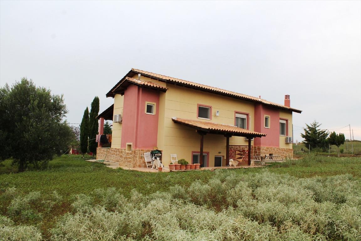 6 Schlafzimmer Gewerbliche Immobilie in Thessaloniki, Greece, Nr. 6928