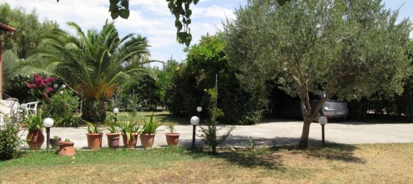 Propriedade comercial T6 em Chalkidiki, Greece N.º 7045 3