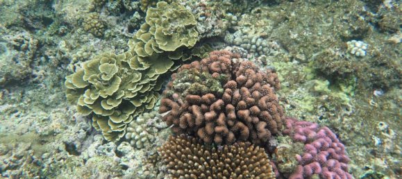 Casa de 3 dormitorios en Port-Vila, Vanuatu No. 28 15