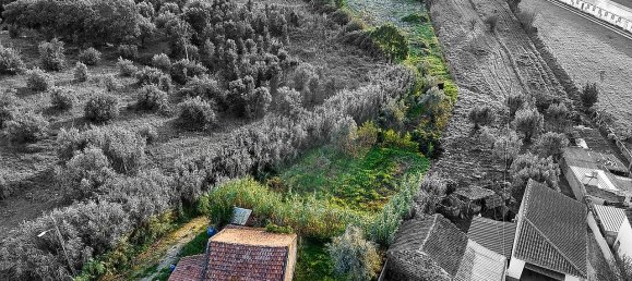 2 Schlafzimmer Haus in Rio Maior, Portugal, Nr. 30177 15