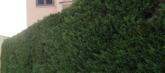 4غرفة منزل في Rignano Flaminio, Italy رقم 283958 43