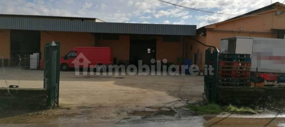 5-salle Entrepôt à Artena, Italy No. 201803 5