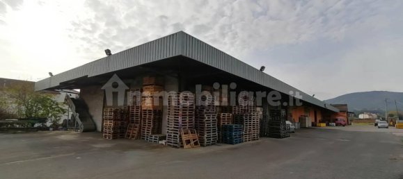 5-salle Entrepôt à Artena, Italy No. 201803 4