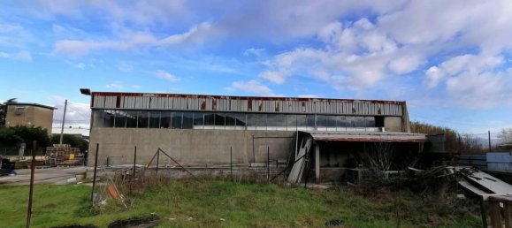 5-salle Entrepôt à Artena, Italy No. 201803 8