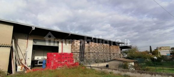 5-salle Entrepôt à Artena, Italy No. 201803 11