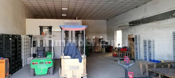5-salle Entrepôt à Artena, Italy No. 201803 16