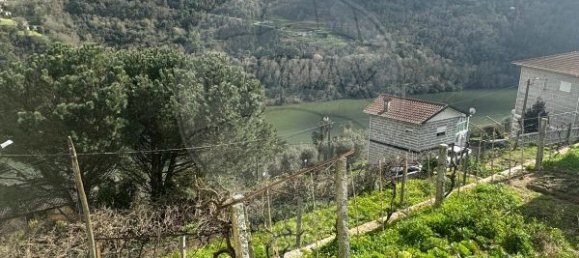 4 chambres Maison à Marco de Canaveses, Portugal No. 179258 6