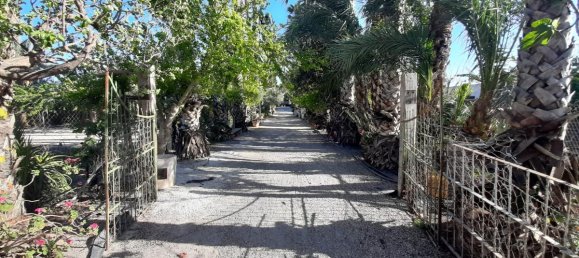 Villa T8 em Orihuela, Spain N.º 287712 9