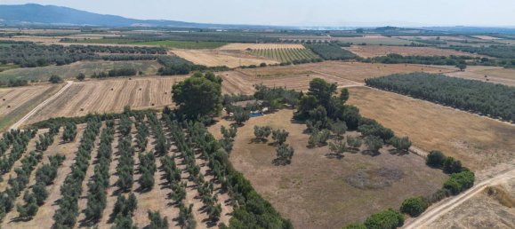 6 rooms Castles in Canino, Italy No. 154552 47