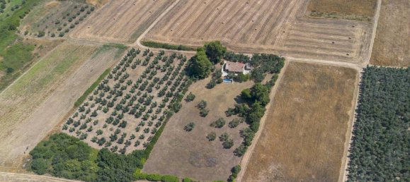 6 rooms Castles in Canino, Italy No. 154552 4