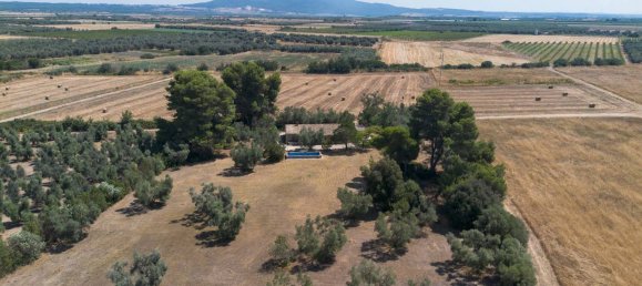 6 rooms Castles in Canino, Italy No. 154552 3