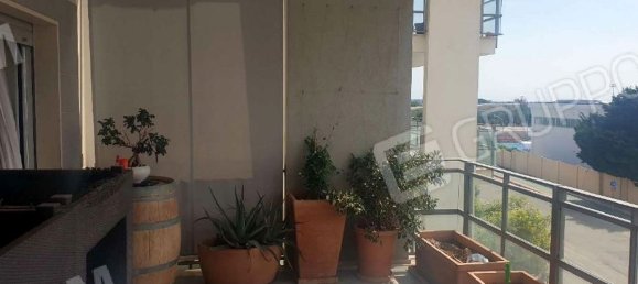 3غرفة شقة في Modugno, Italy رقم 276620 19