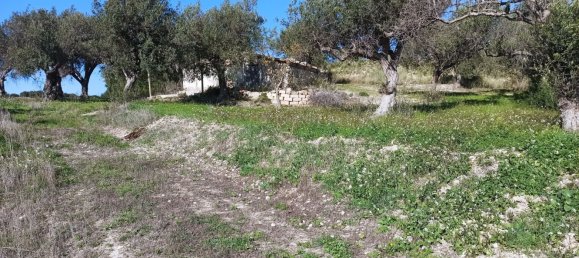 11127m² Land in Noto, Italy No. 68059 7