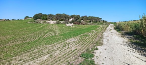 11127m² Land in Noto, Italy No. 68059 12