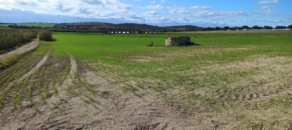 11127m² Land in Noto, Italy No. 68059 6