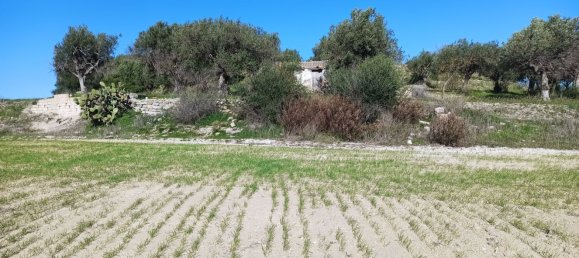 11127m² Land in Noto, Italy No. 68059 8