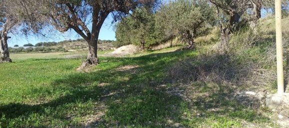 11127m² Land in Noto, Italy No. 68059 9