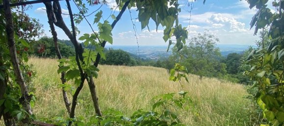 7-Zimmer Haus in Marostica, Italy, Nr. 155006 14