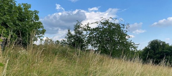 7-Zimmer Haus in Marostica, Italy, Nr. 155006 12