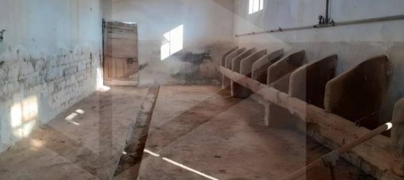 9 rooms House in Conversano, Italy No. 23496 7