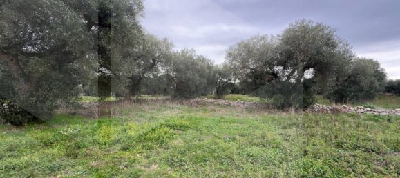 9 rooms House in Conversano, Italy No. 23496 20