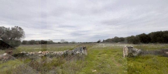 9 rooms House in Conversano, Italy No. 23496 23