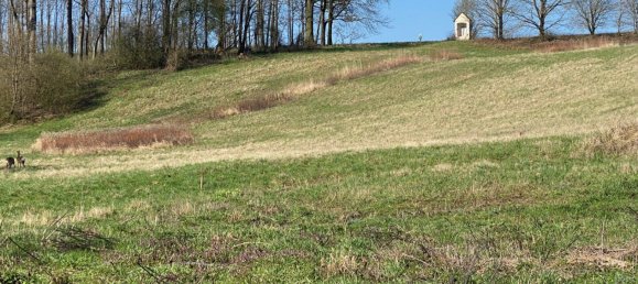  Land in Krenglbach, Austria No. 126840 2