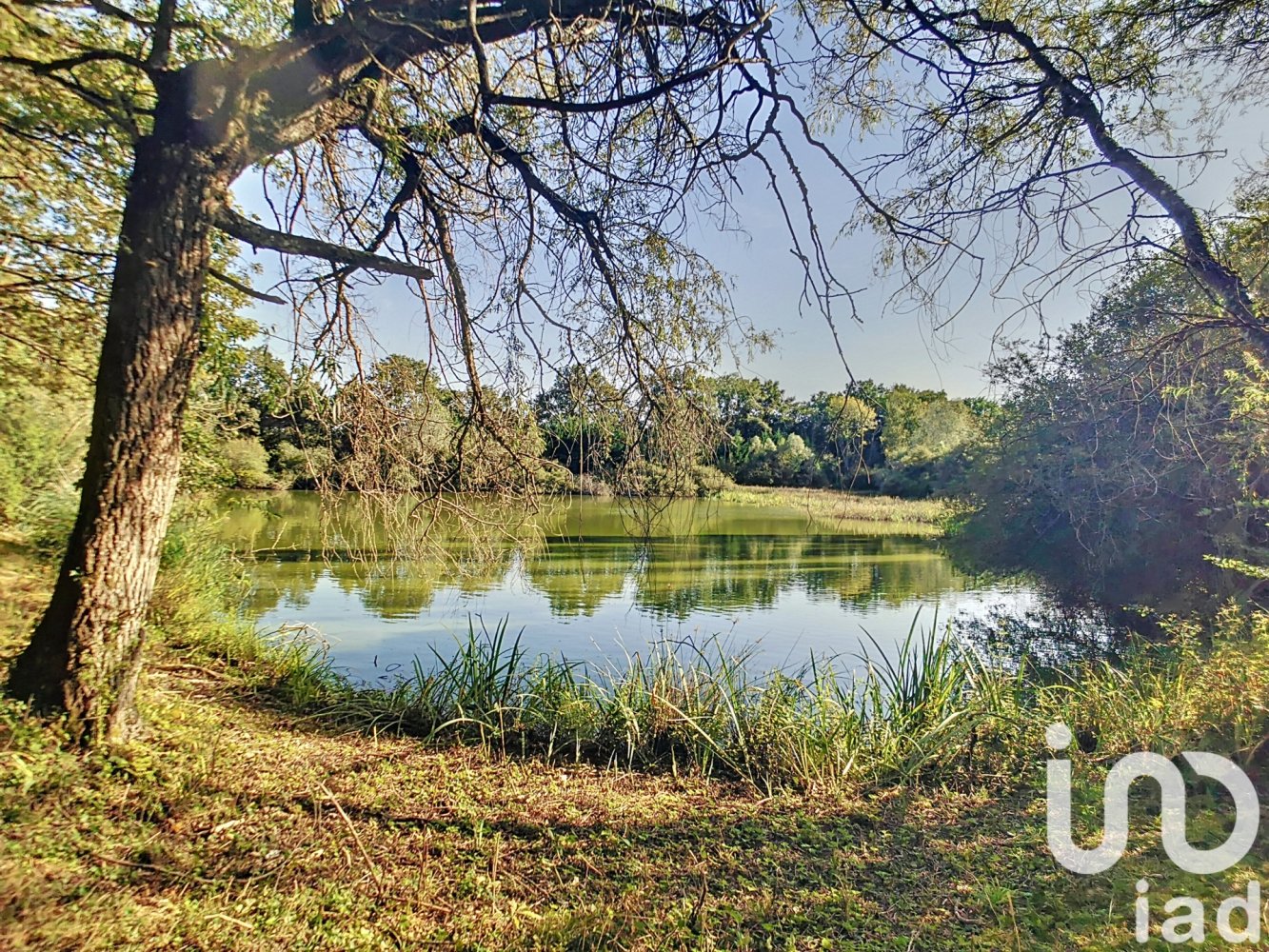 Terreno en Coullons, France 25701 m² No. 104467