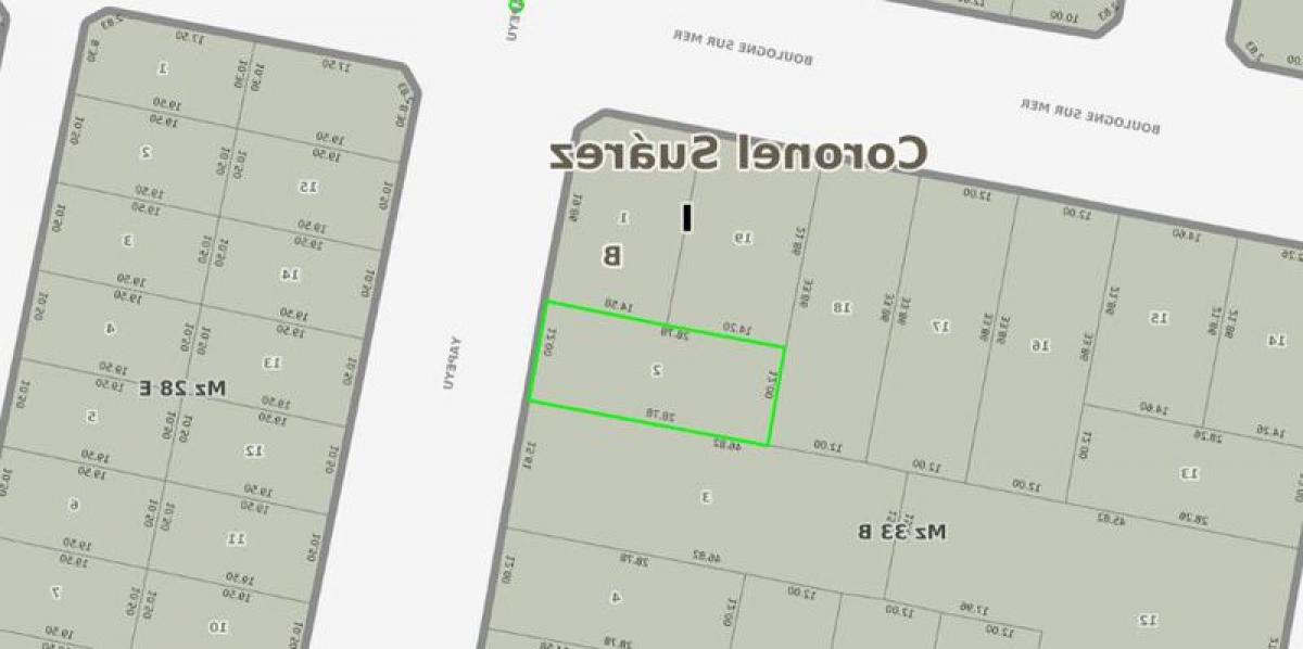  Land in Coronel Suarez, Argentina No. 39042