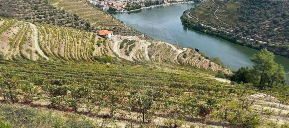 Casa de 6 dormitorios en Sabrosa, Portugal No. 189232 6