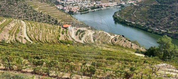 Casa de 6 dormitorios en Sabrosa, Portugal No. 189232 7