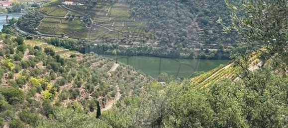 Casa de 6 dormitorios en Sabrosa, Portugal No. 189232 8