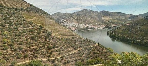 Casa de 6 dormitorios en Sabrosa, Portugal No. 189232 9