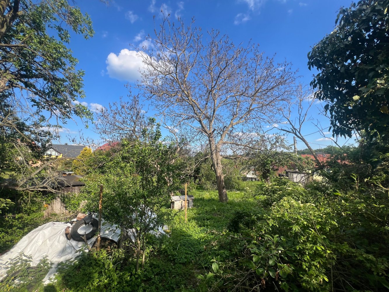 Casa de 5 habitaciónes en Sachsische Schweiz-Osterzgebirge, Germany No. 150607