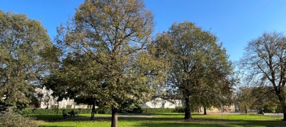 750m² Land in Vicenza, Italy No. 193321 9