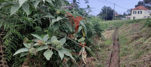 1080m² Land in Santana, Portugal No. 89509 9