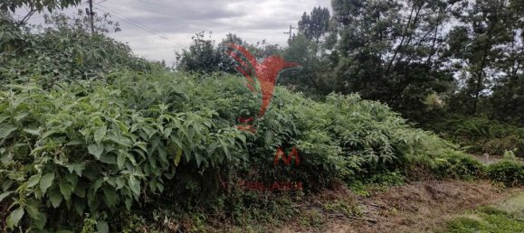 1080m² Land in Santana, Portugal No. 89509 7