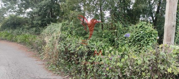 1080m² Land in Santana, Portugal No. 89509 17