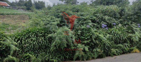 1080m² Land in Santana, Portugal No. 89509 19