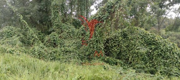 1080m² Land in Santana, Portugal No. 89509 18