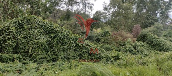 1080m² Land in Santana, Portugal No. 89509 15