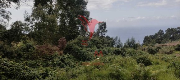 1080m² Land in Santana, Portugal No. 89509 16