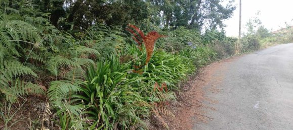 1080m² Land in Santana, Portugal No. 89509 10