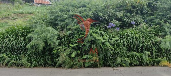 1080m² Land in Santana, Portugal No. 89509 14