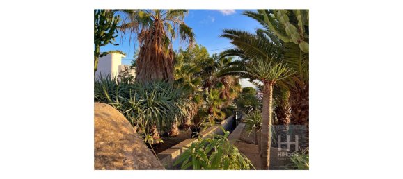 4 غرف نوم فيلا في Porto Santo, Portugal رقم 140343 35