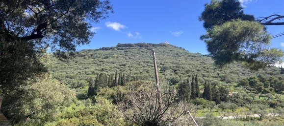Мезонет с 7 спальнями в Закинтос, Ионические острова, Пелопоннес, Западная Греция и Ионические острова, Греция № 90196 2