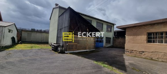 4 غرف نوم منزل في Niederhaslach, France رقم 91123 9